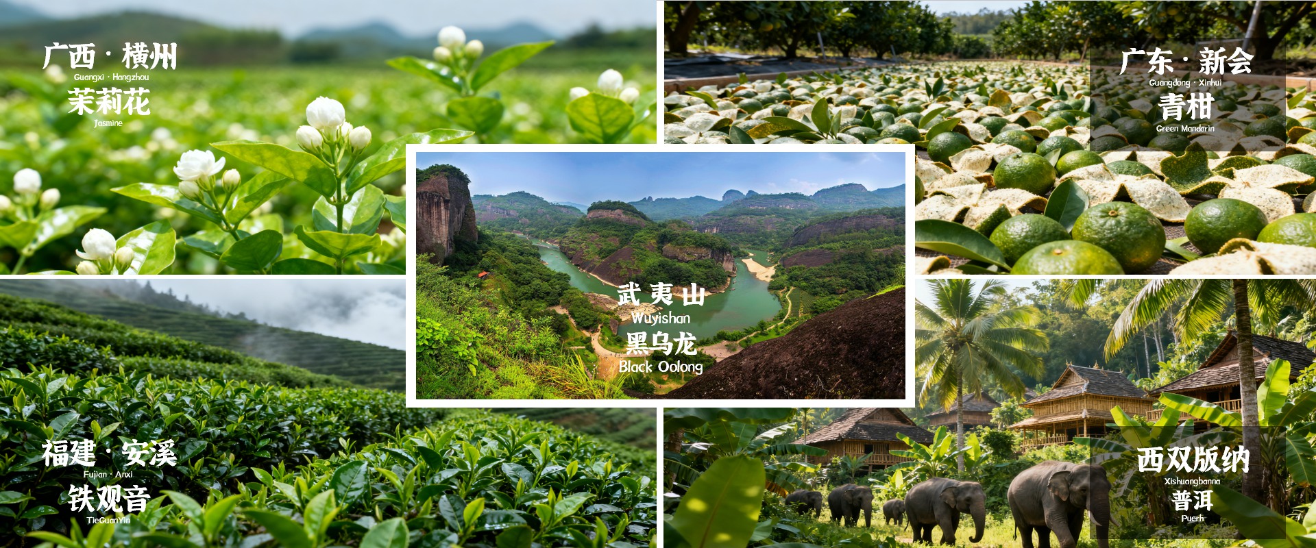 通栏图片